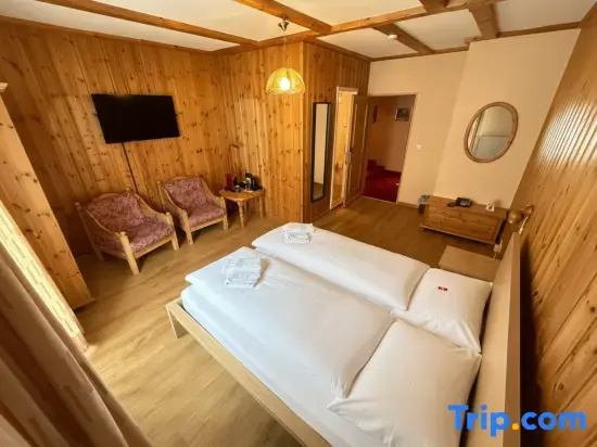 Standard Double room with balcony and with land view (full double bed)
