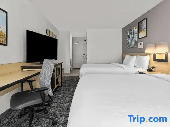 City Express by Marriott Mountain View/Sunnyvale - Chambres