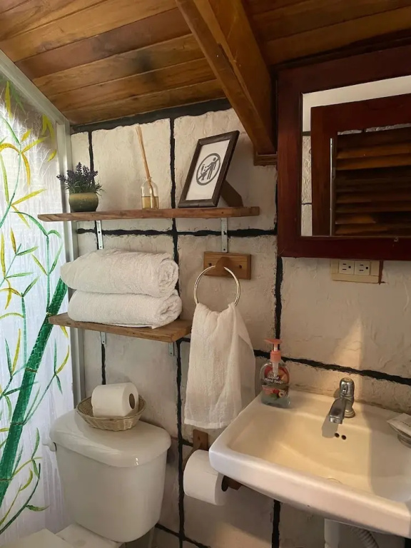 Classic Chalet