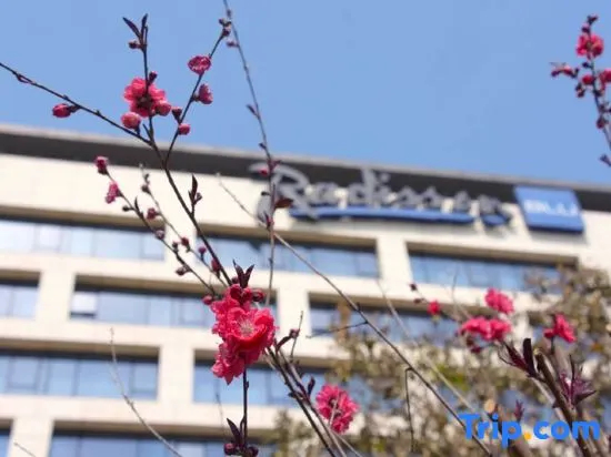 Radisson Blu Zhengzhou — фото 2
