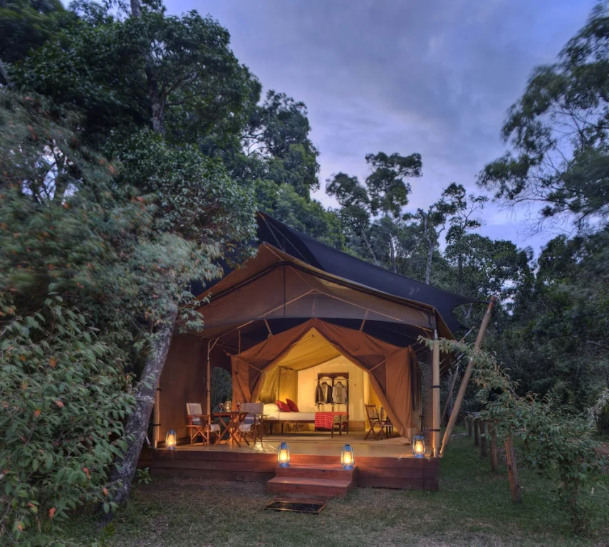 Tent