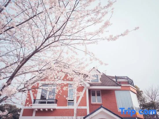 Shinehouse House (Shanghai International Resort)