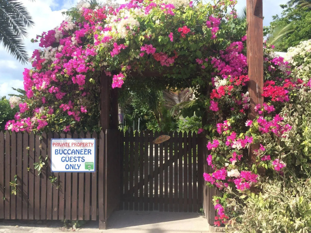 Buccaneer Beach Club