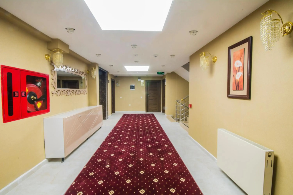 Hotel Business Han - фото 14