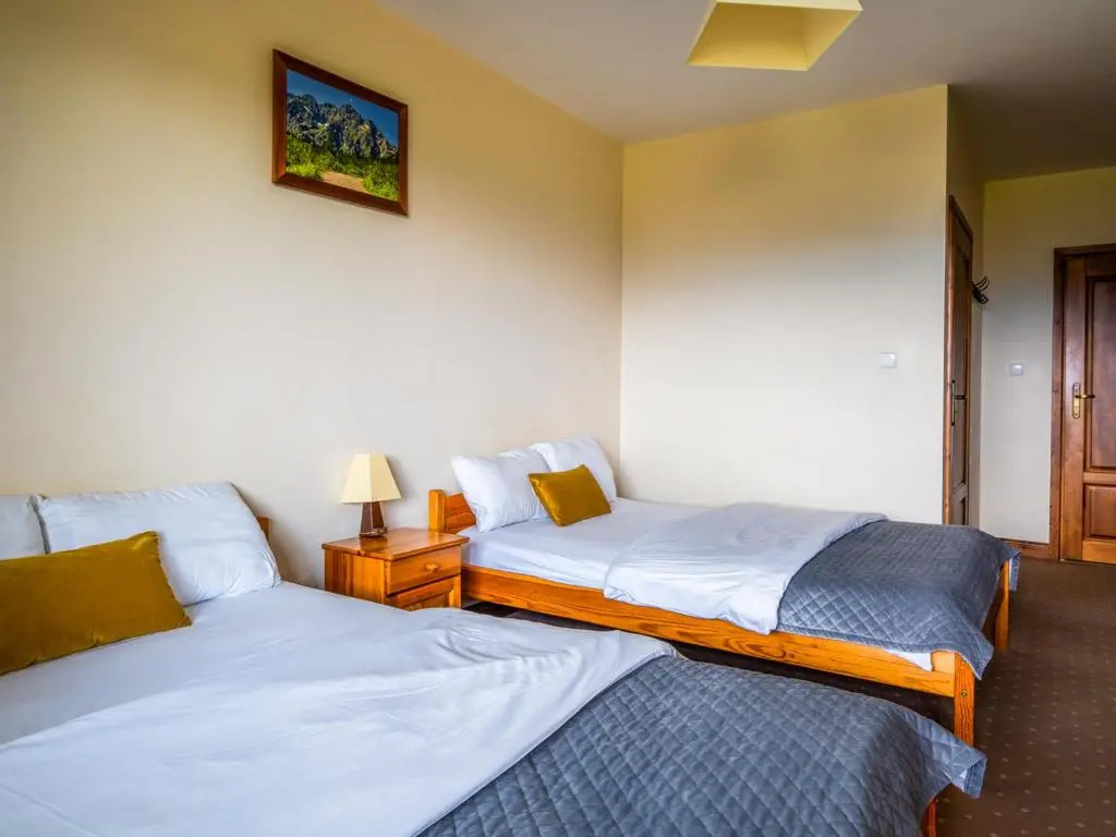 Standard Double room with mountain view (full double bed)