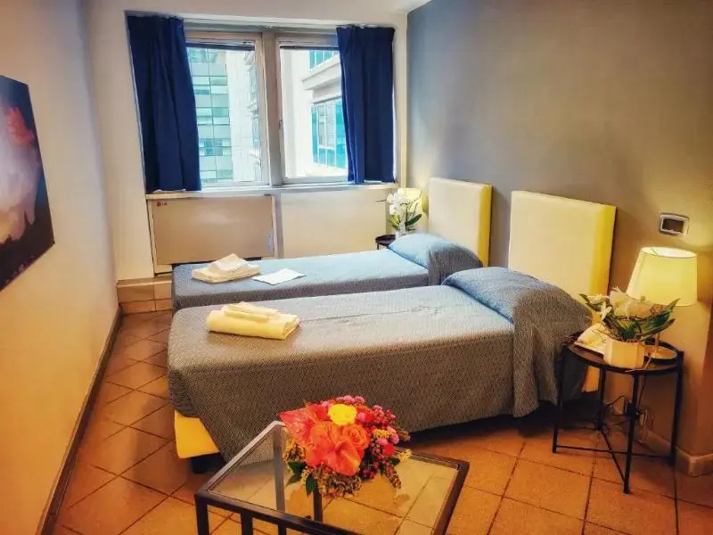 Standard Double room (twin beds)