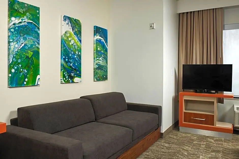 SpringHill Suites by Marriott Baton Rouge North/Airport - Chambres