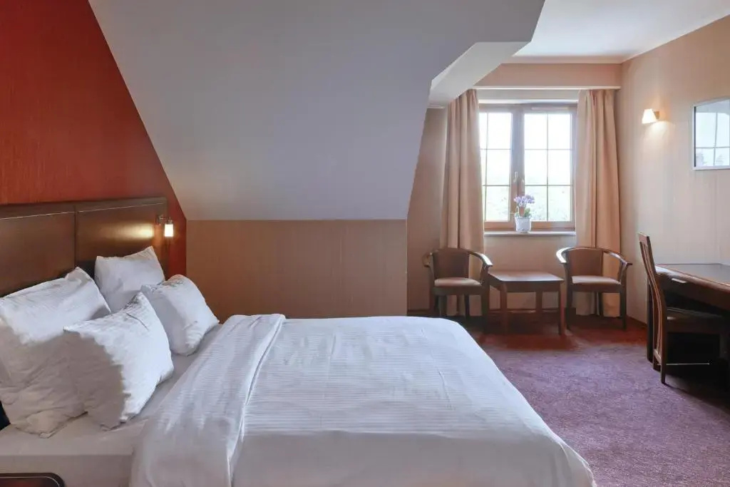 Standard Double room (full double bed)