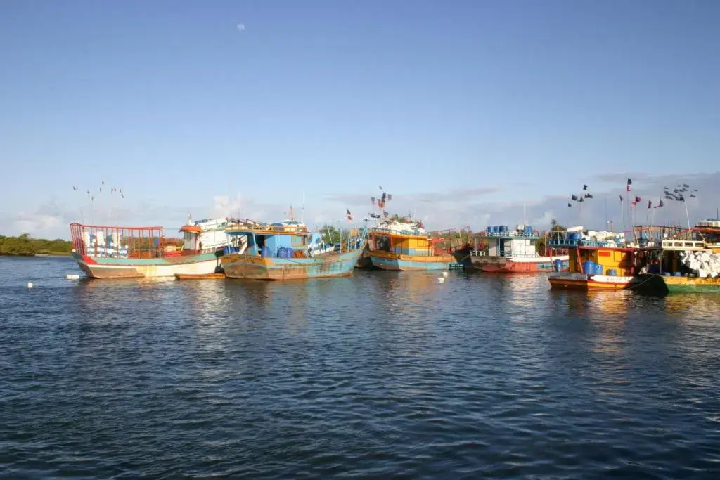Beach & Waterfront
