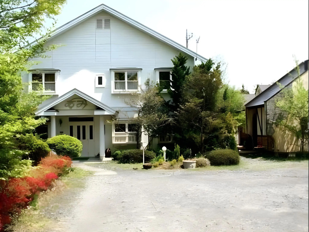 Image 19