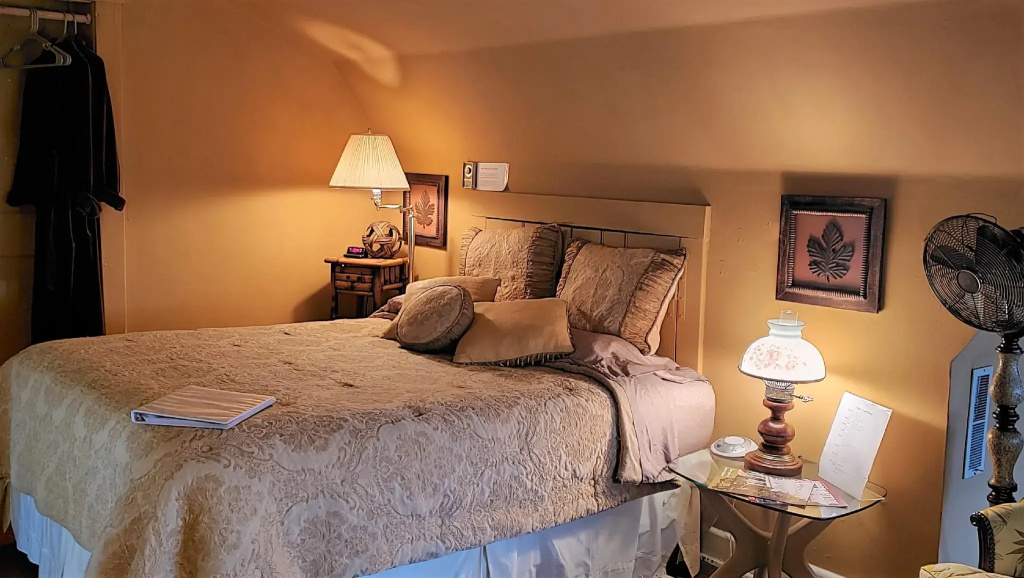 Standard Double room (full double bed)