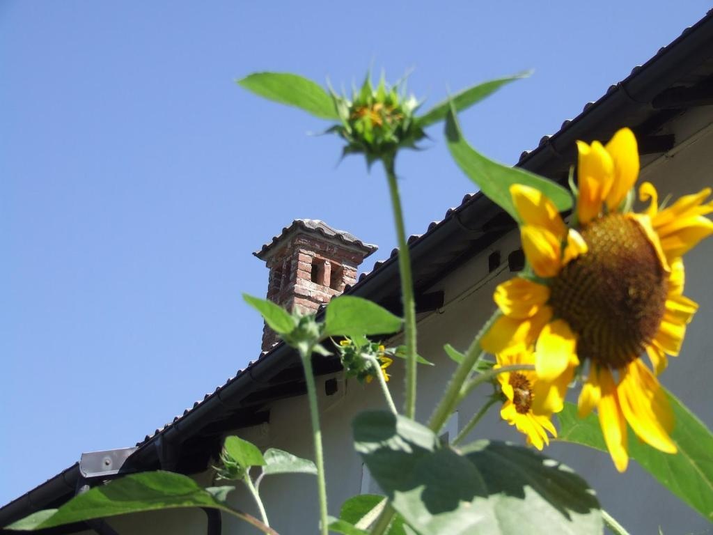 La Meridiana, Monolocale in Cascina Ristrutturata