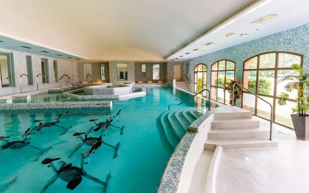Voir la photo 4 — Vacances du Sud - Domaine de Fayence 4 pers