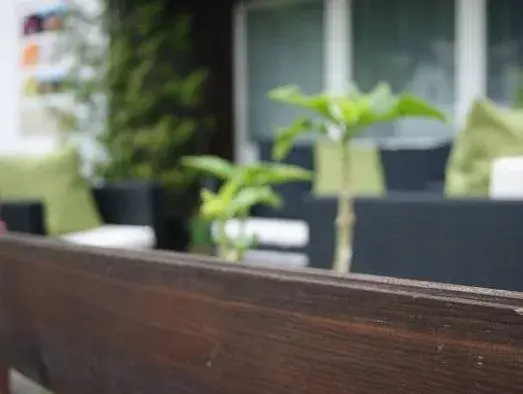 Balcony & Terrace