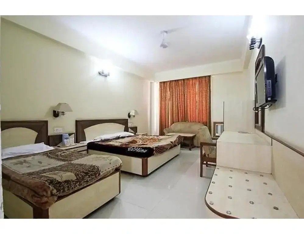 Vishal Hotel - Général