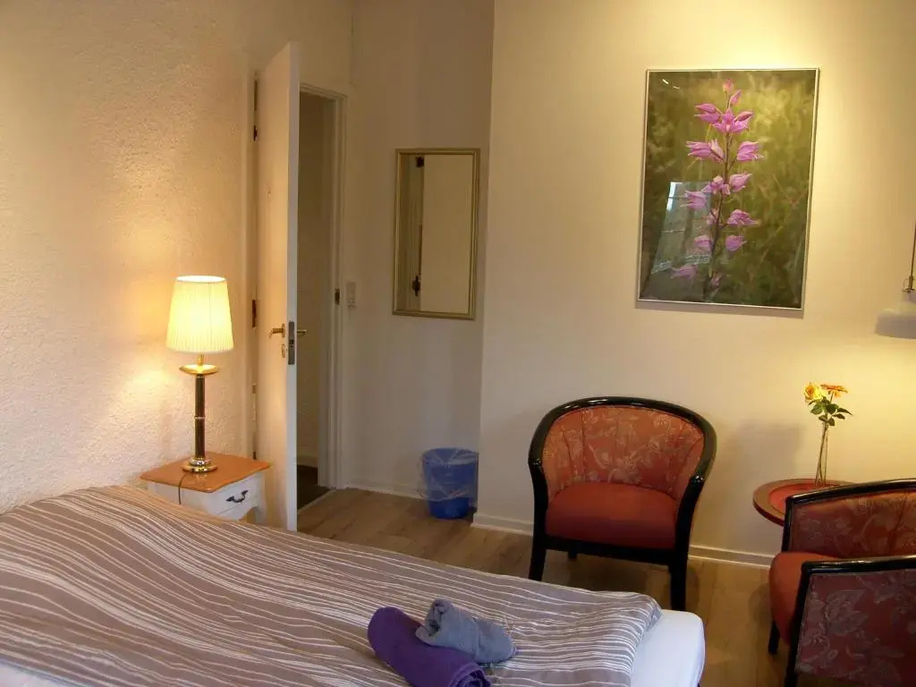 Standard Double room (full double bed)