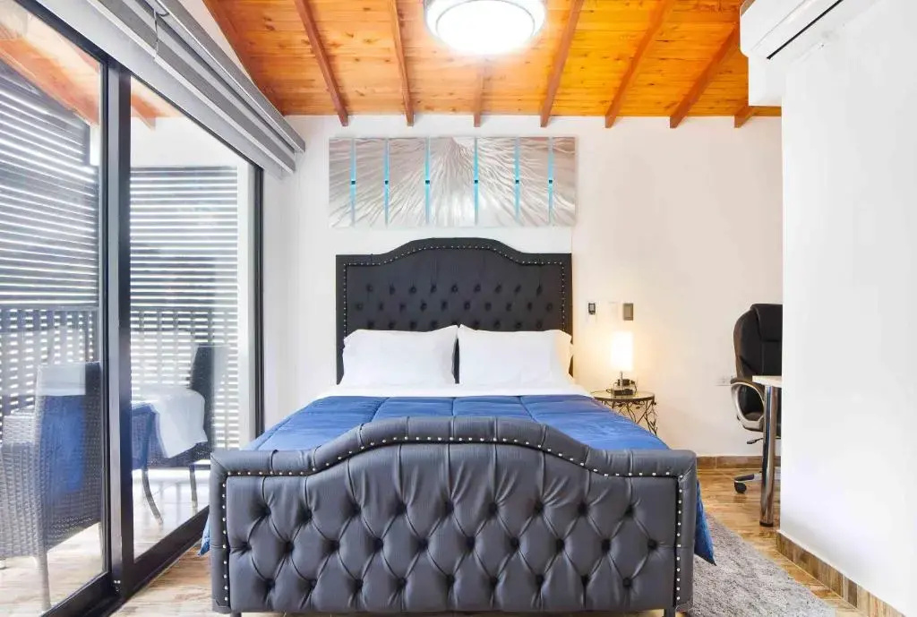 Penthouse Apartment