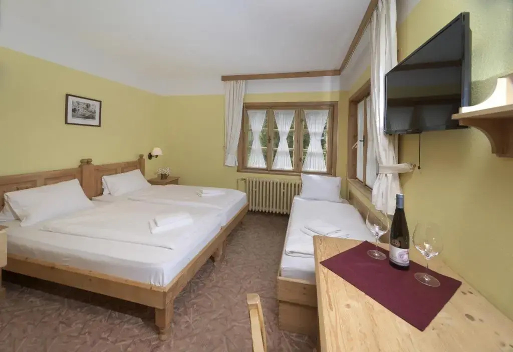 Alpský hotel - Chambres