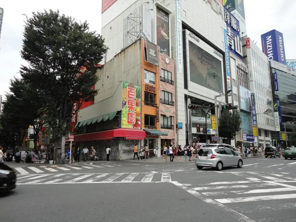 Hotel Wing International Shinjuku - Général
