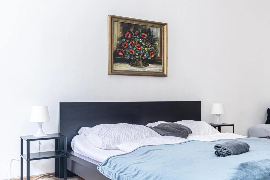 Budget Apartments Well connected to the Whole City