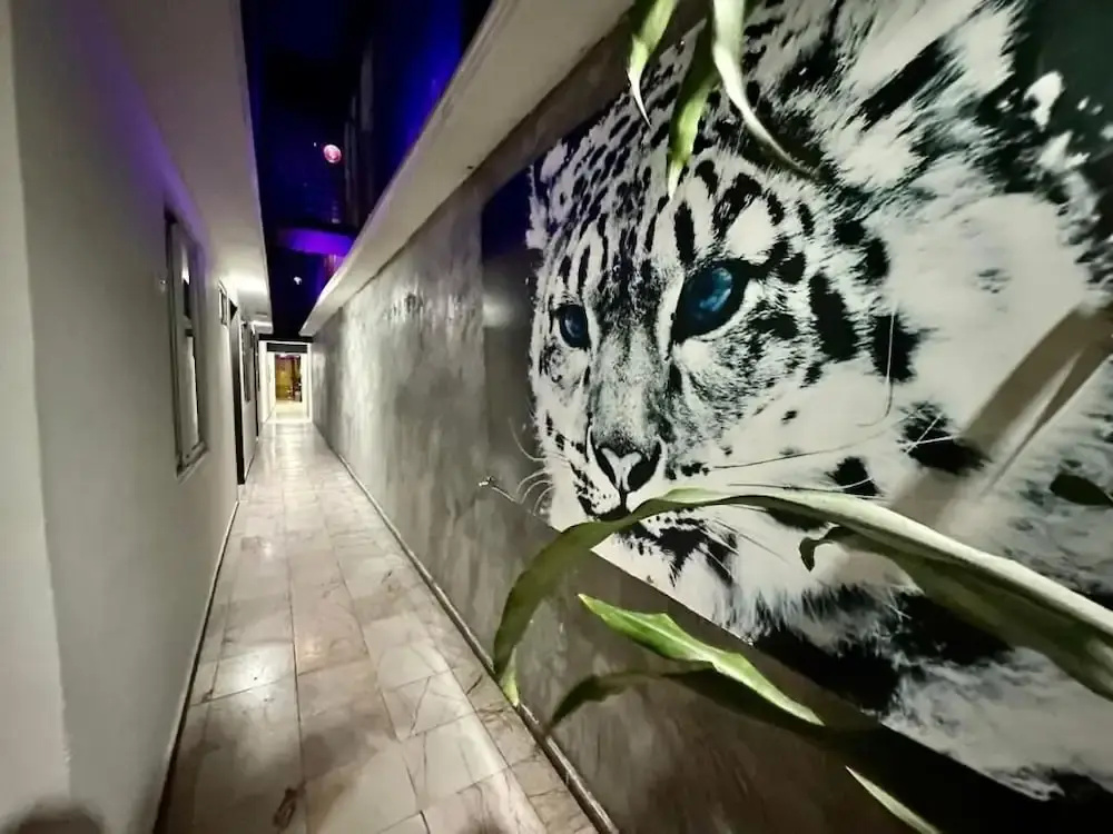 zyan Rooms