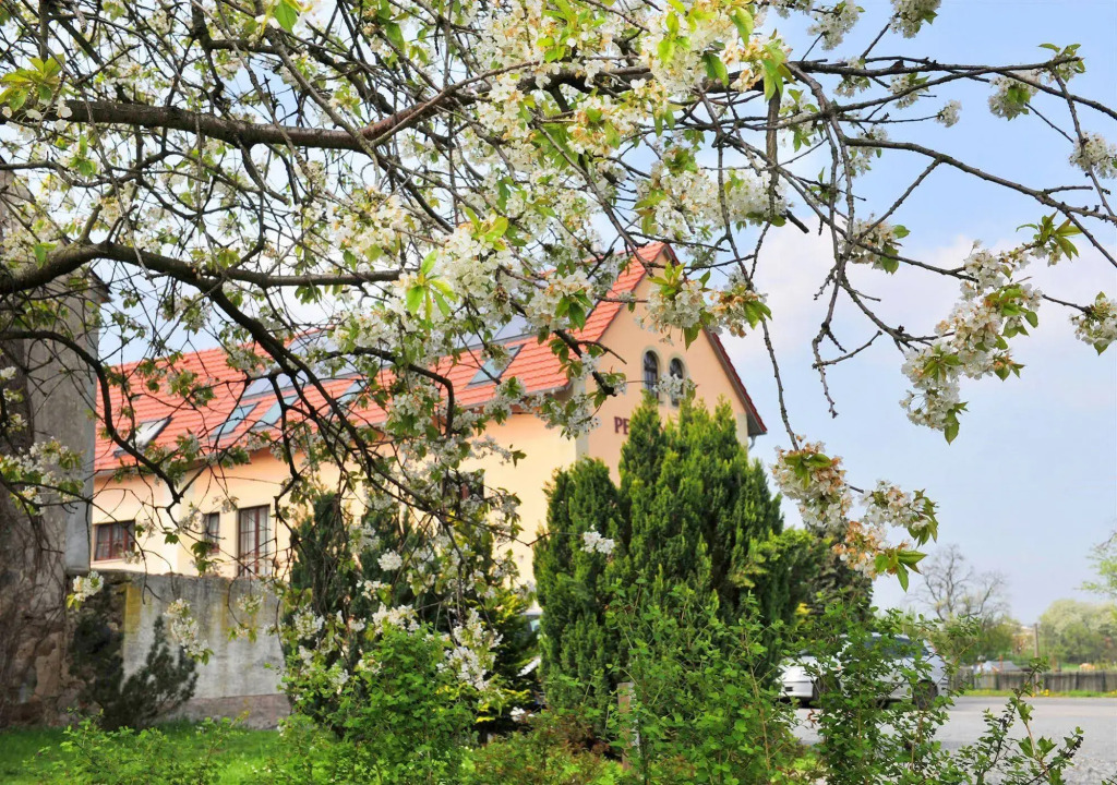 Image 22