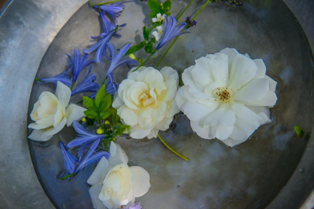 Summerfields Rose Retreat & Spa - фото 35