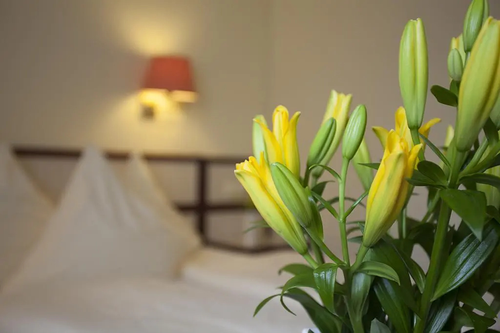 Hotel photo 25
