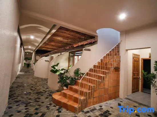 Moonlight Homestay & Garden
