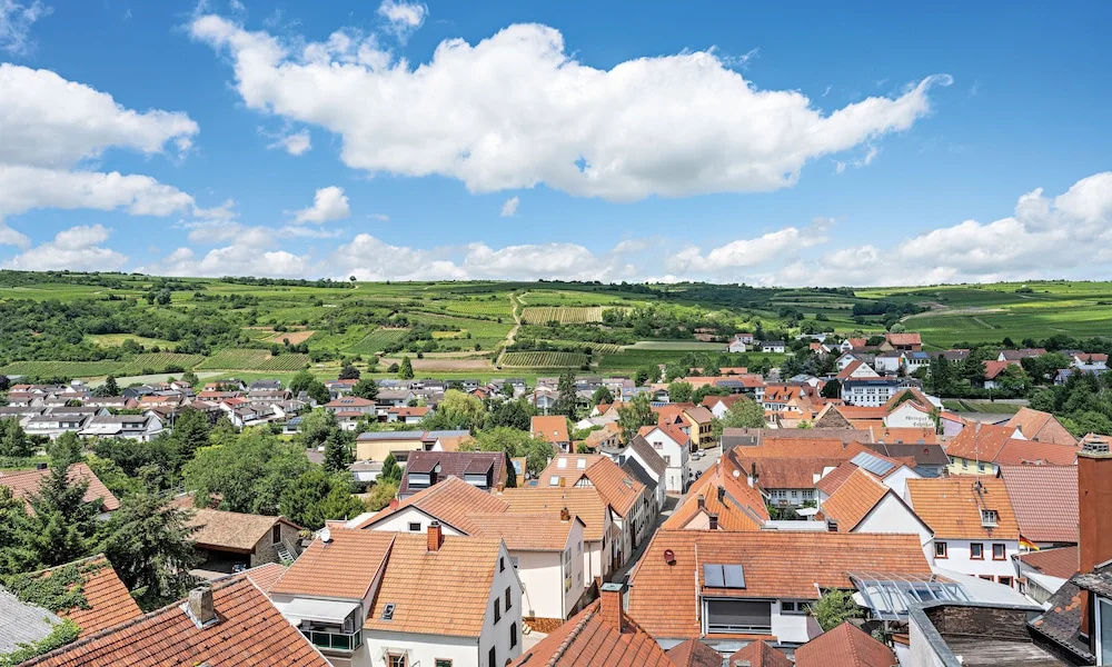 Pfalzhotel Asselheim - Chambres