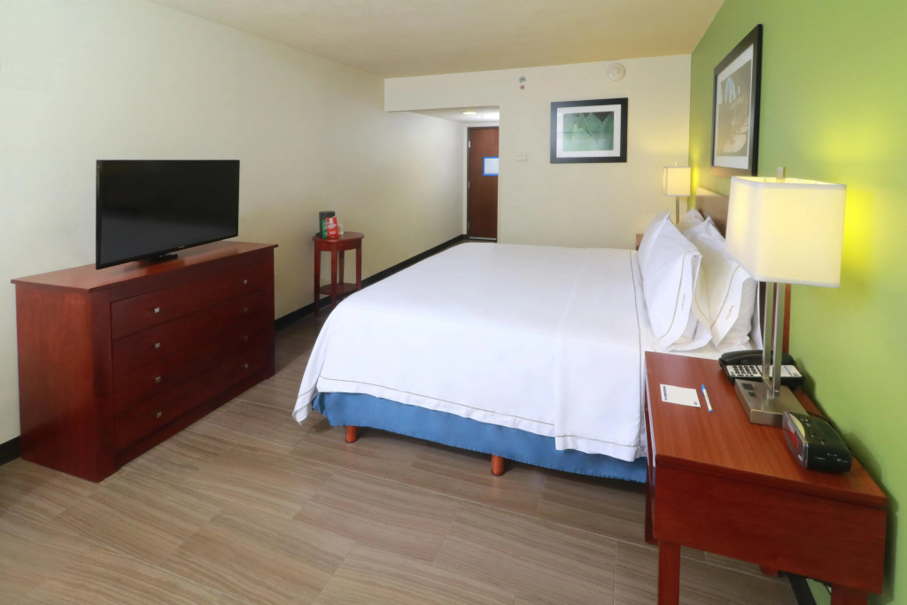 Holiday Inn Express Guadalajara Aeropuerto by IHG - Général