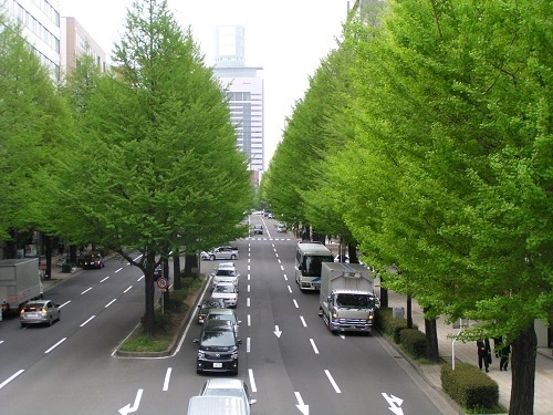 image url
