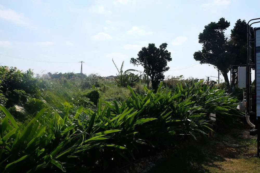 Natural farm ZAMPA