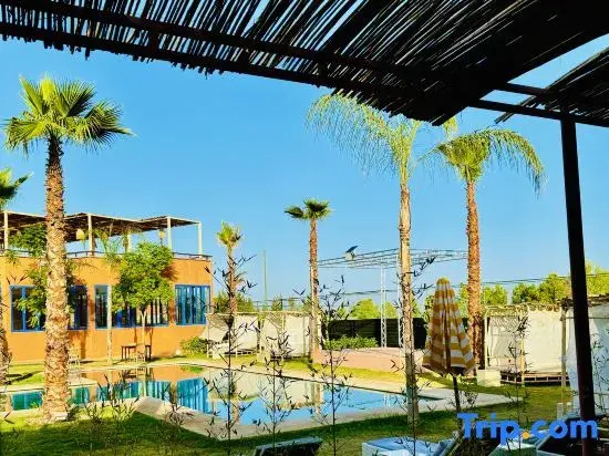 Hotel photo 13