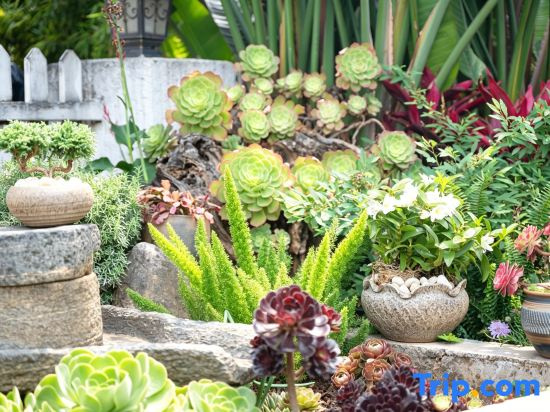 Hersy Vista · Hesi | 270° Panoramic Erhai-Cangshan View Boutique Stay
