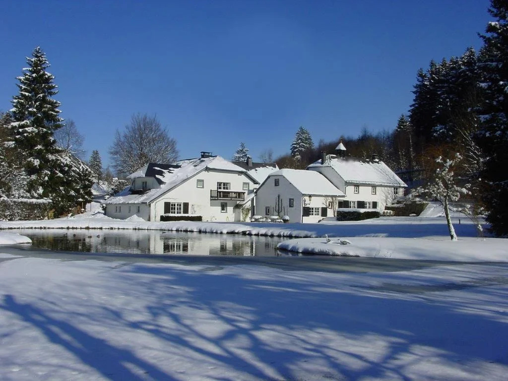 Hotel Le Vieux Moulin