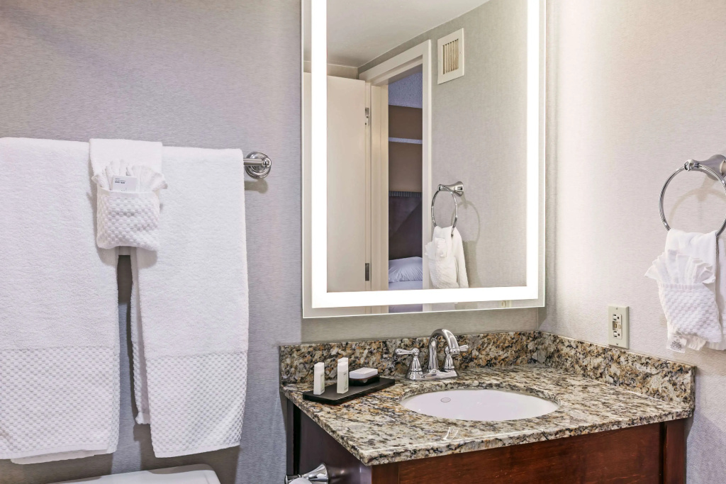 Embassy Suites by Hilton Dallas Market Center - Général