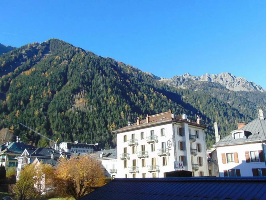 Voir la photo 4 — Appartement Chamonix-Mont-Blanc, 1 pièce, 2 personnes - FR-1-517-23