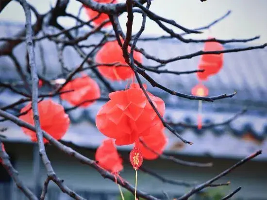 Shan Li Yun Boutique Hostel