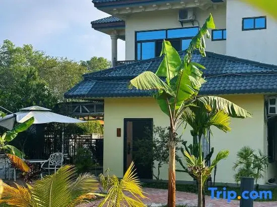 The Forest B&Bs