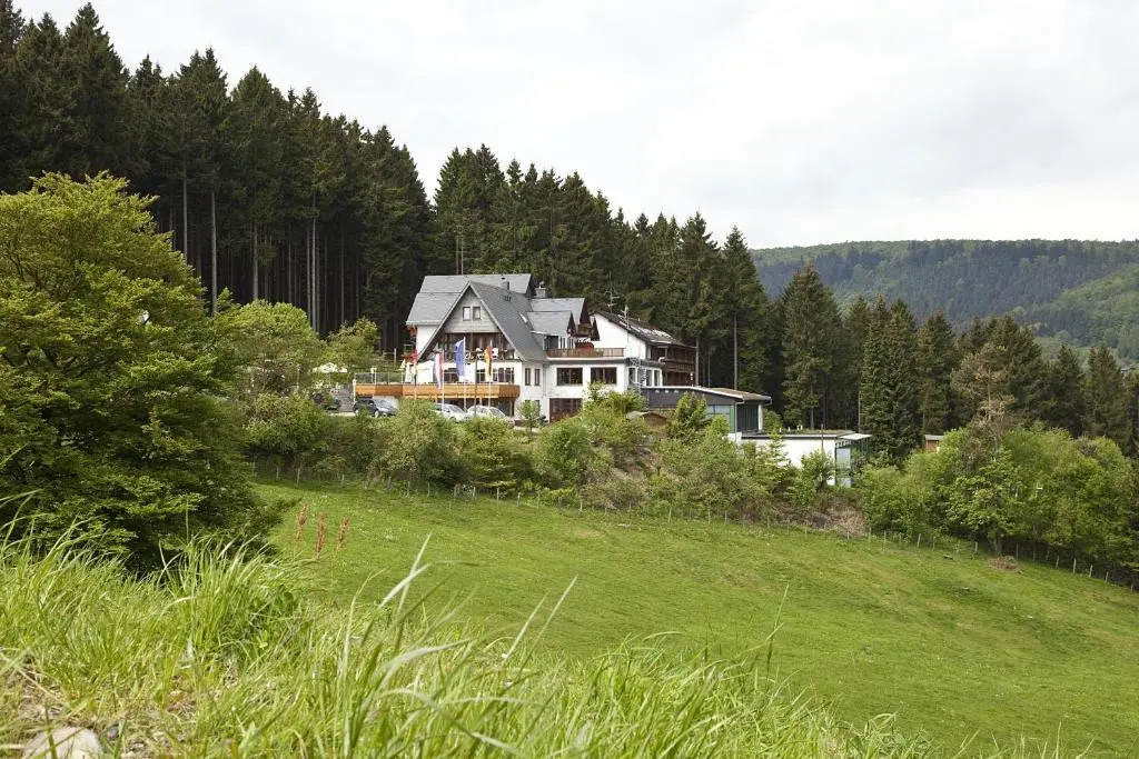 Wald Hotel Willingen - Chambres