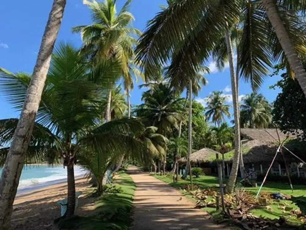 Beach & Waterfront