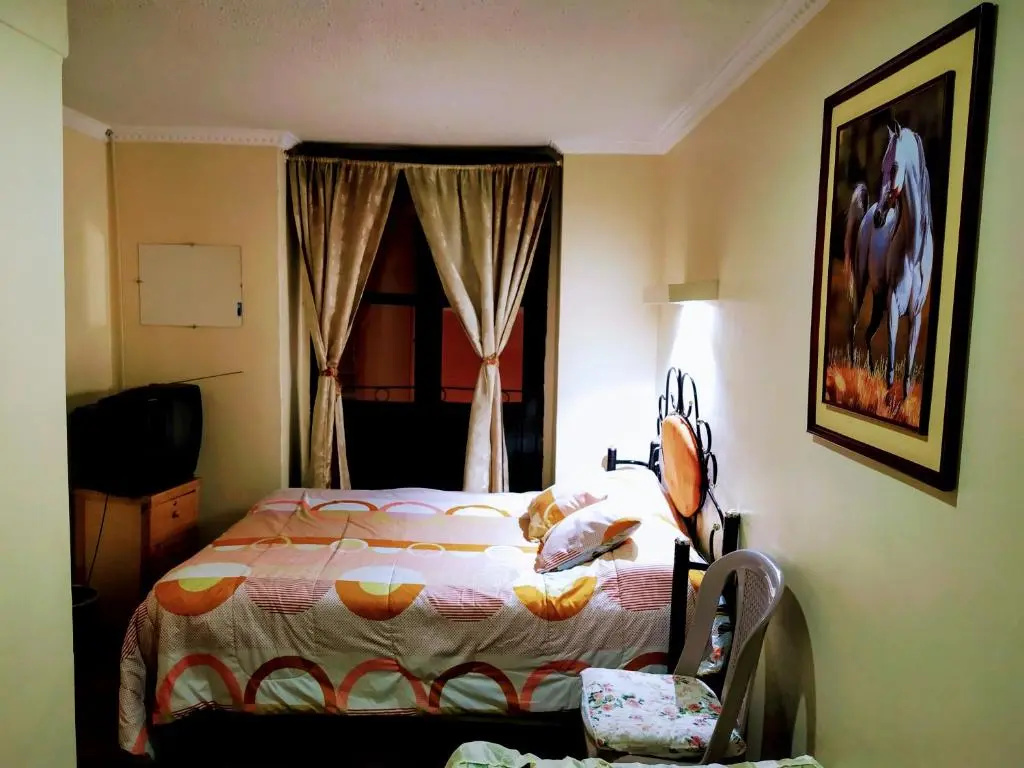 Standard Double room (twin beds)