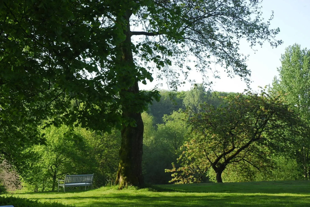 Image 15