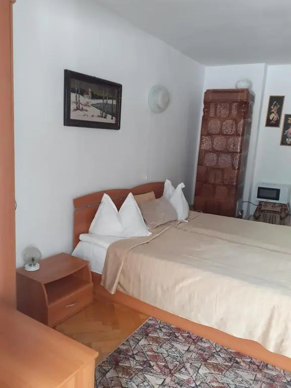 Vila Floare de Colt - Chambres