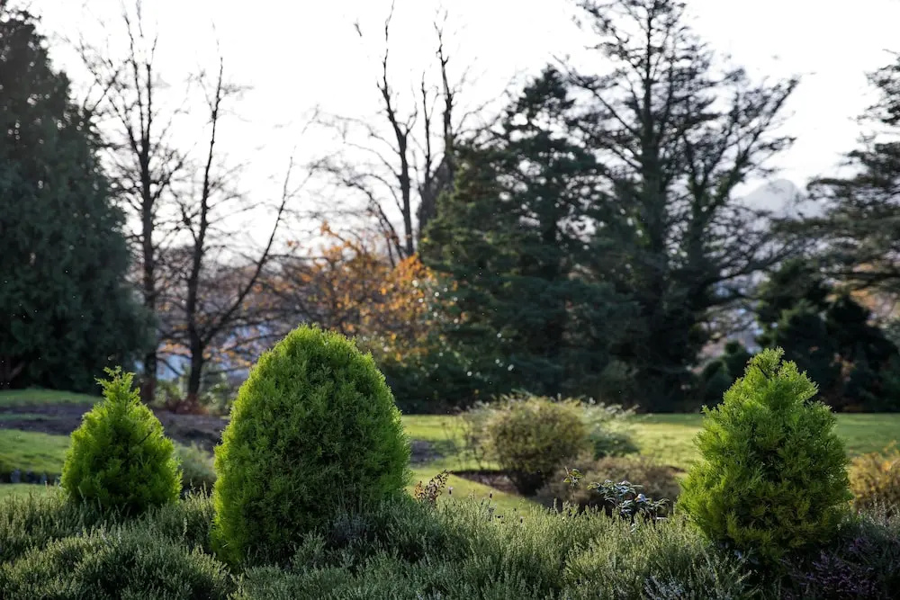Keswick Country House Hotel - Chambres
