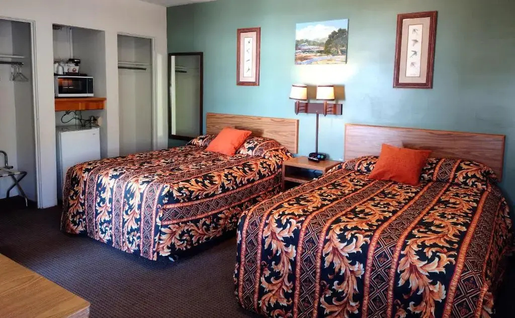 Deluxe Double room (twin beds)