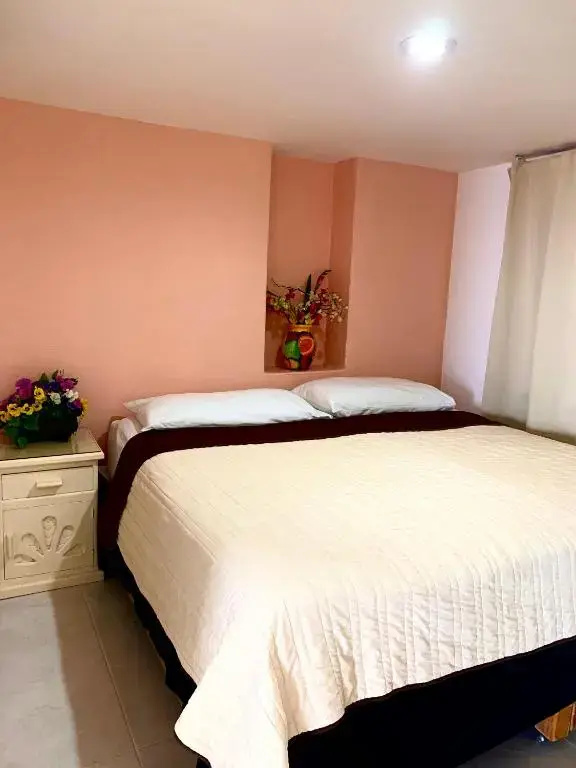 Enna Inn Ixtapa Rooms - Général