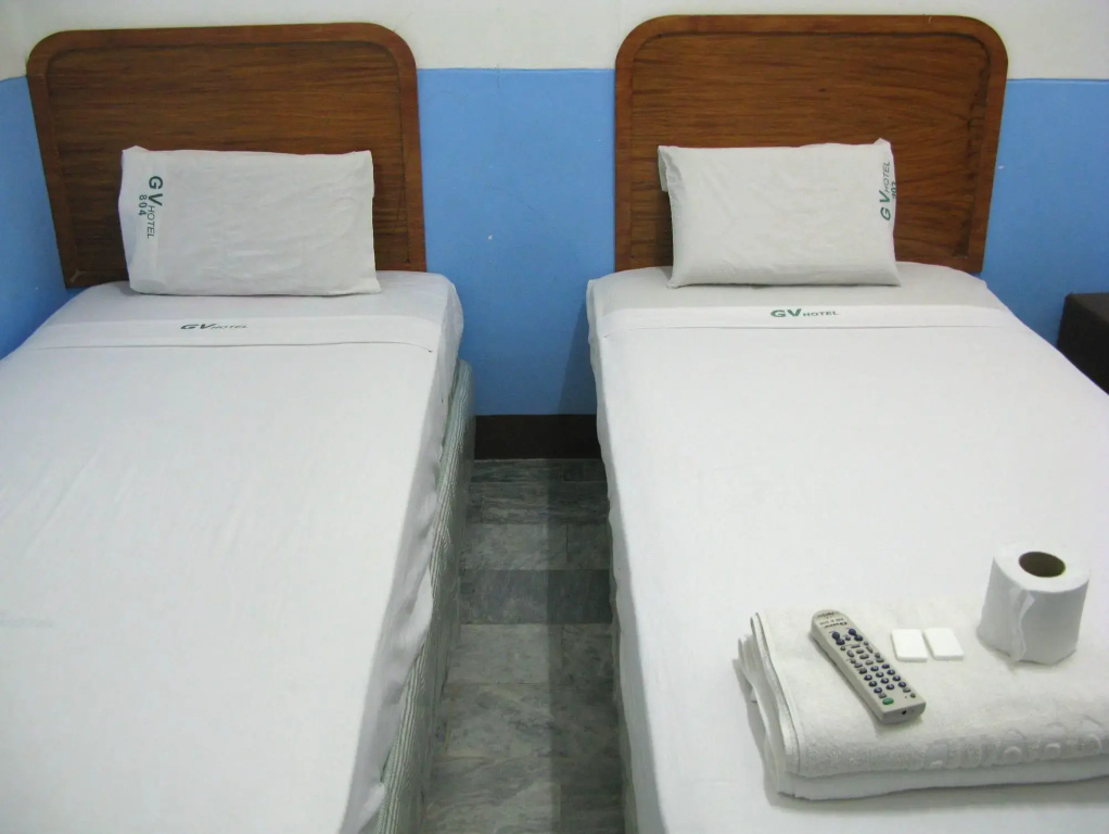 Deluxe Double room (twin beds)