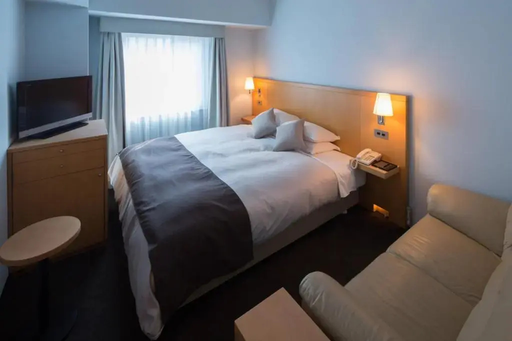 Superior Double room (full double bed)